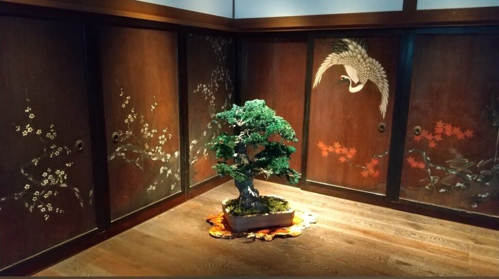 建築デザインにおける盆栽アートの未来